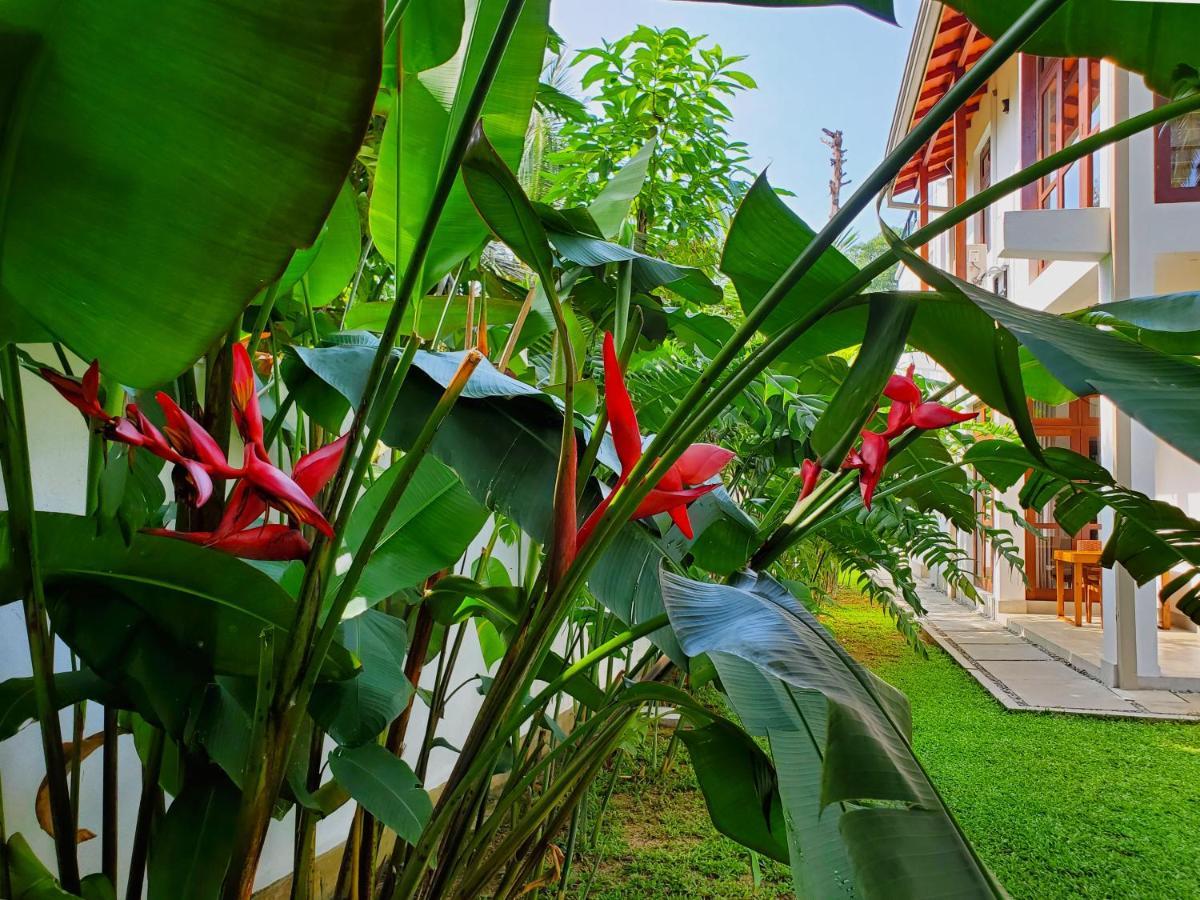 Villa Ema Galle Esterno foto